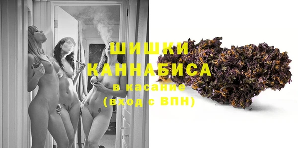 ECSTASY Богородицк