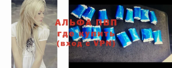 гашик Богданович