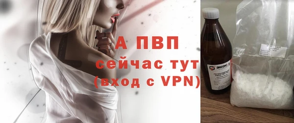ECSTASY Богородицк