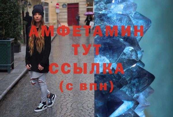 гашик Богданович