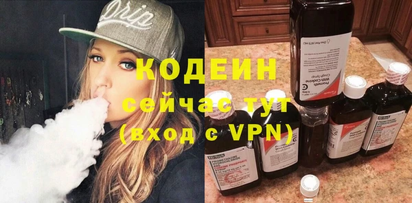 гашик Богданович