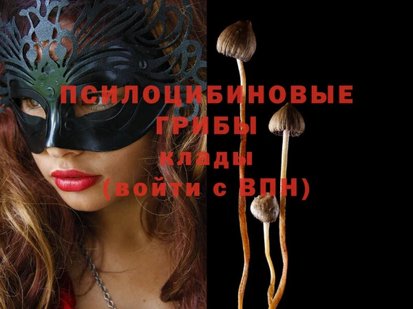 ECSTASY Богородицк