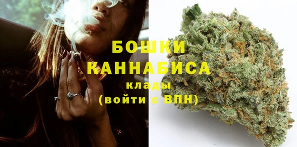 ECSTASY Богородицк