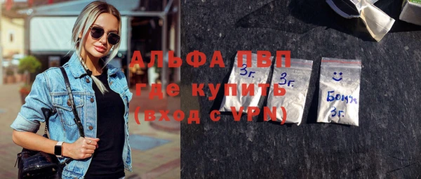гашик Богданович