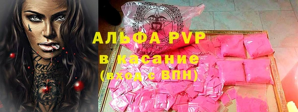 гашик Богданович