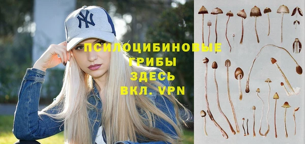 гашик Богданович