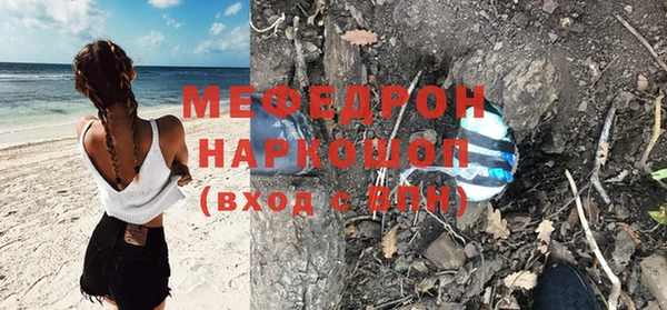 гашик Богданович