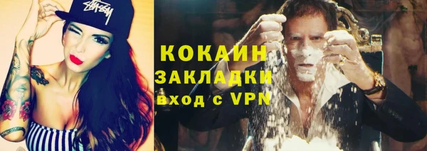 гашик Богданович