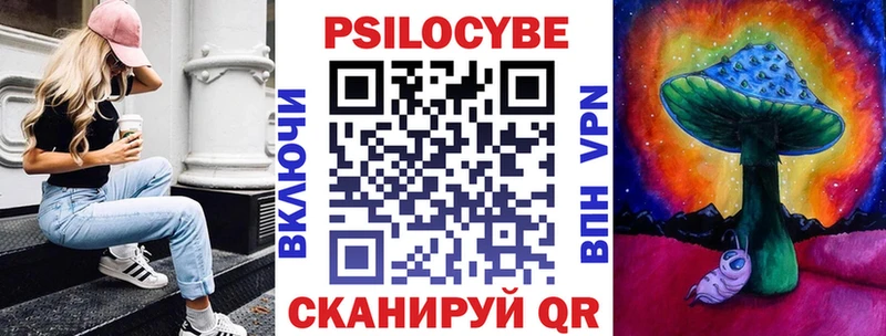 ссылка на мегу маркетплейс  Новопавловск  Псилоцибиновые грибы Psilocybine cubensis 